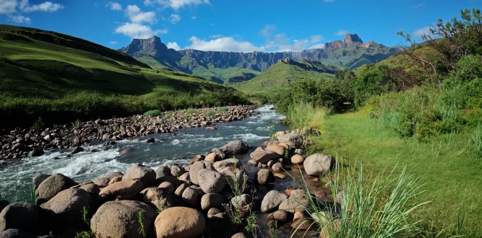 DMC SA-Group & Special Interest Pristine Ecosystems