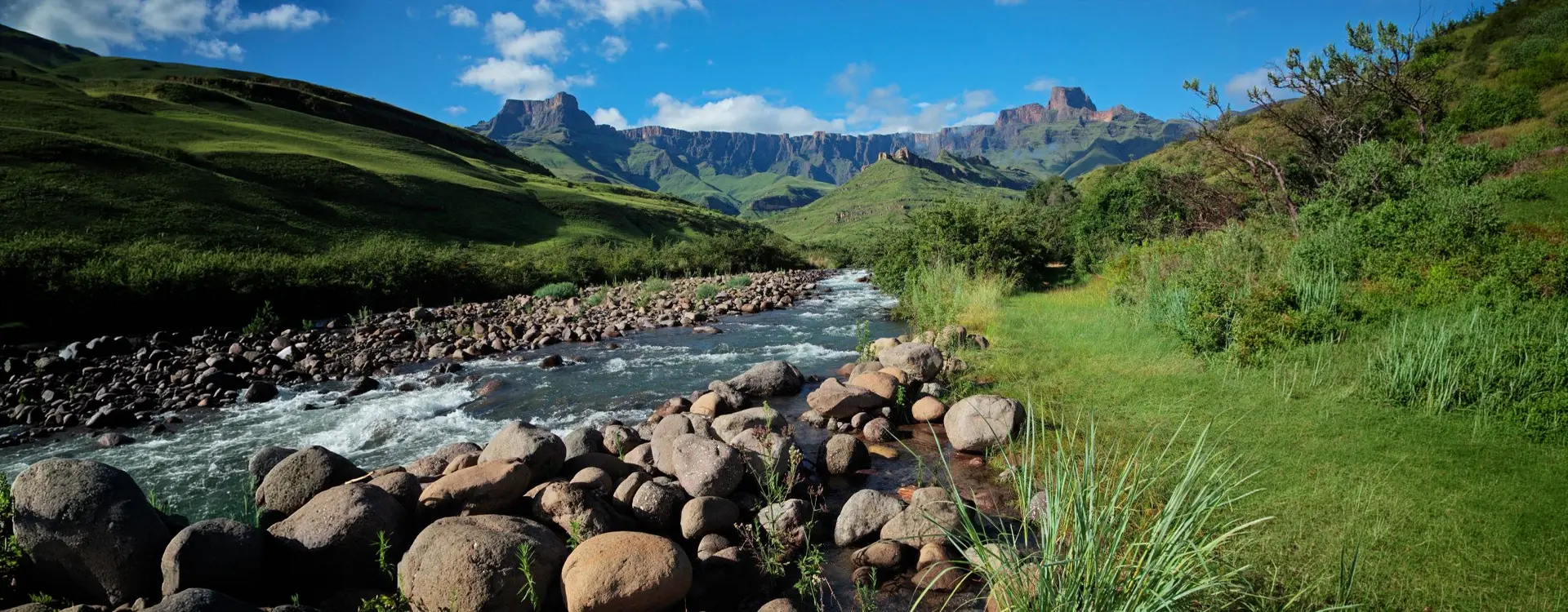 DMC SA-Group & Special Interest Pristine Ecosystems