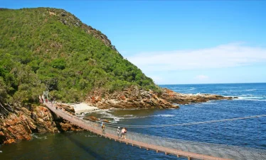 DMC SA-Group & Special Interest The Dolphin Trail
