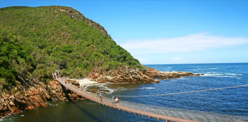 DMC SA-Group & Special Interest The Dolphin Trail