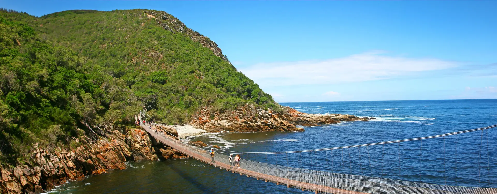 DMC SA-Group & Special Interest The Dolphin Trail