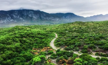 DMC SA-Group & Special Interest The Hermanus Camino