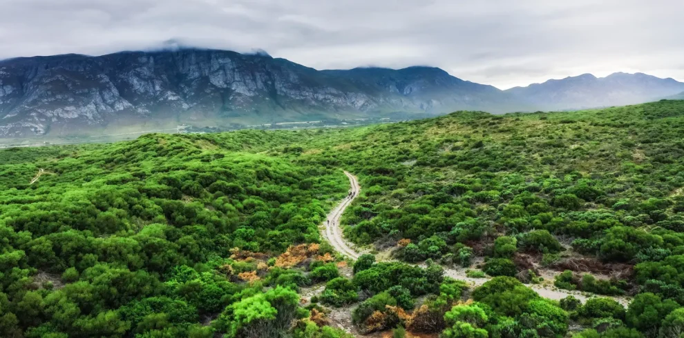DMC SA-Group & Special Interest The Hermanus Camino