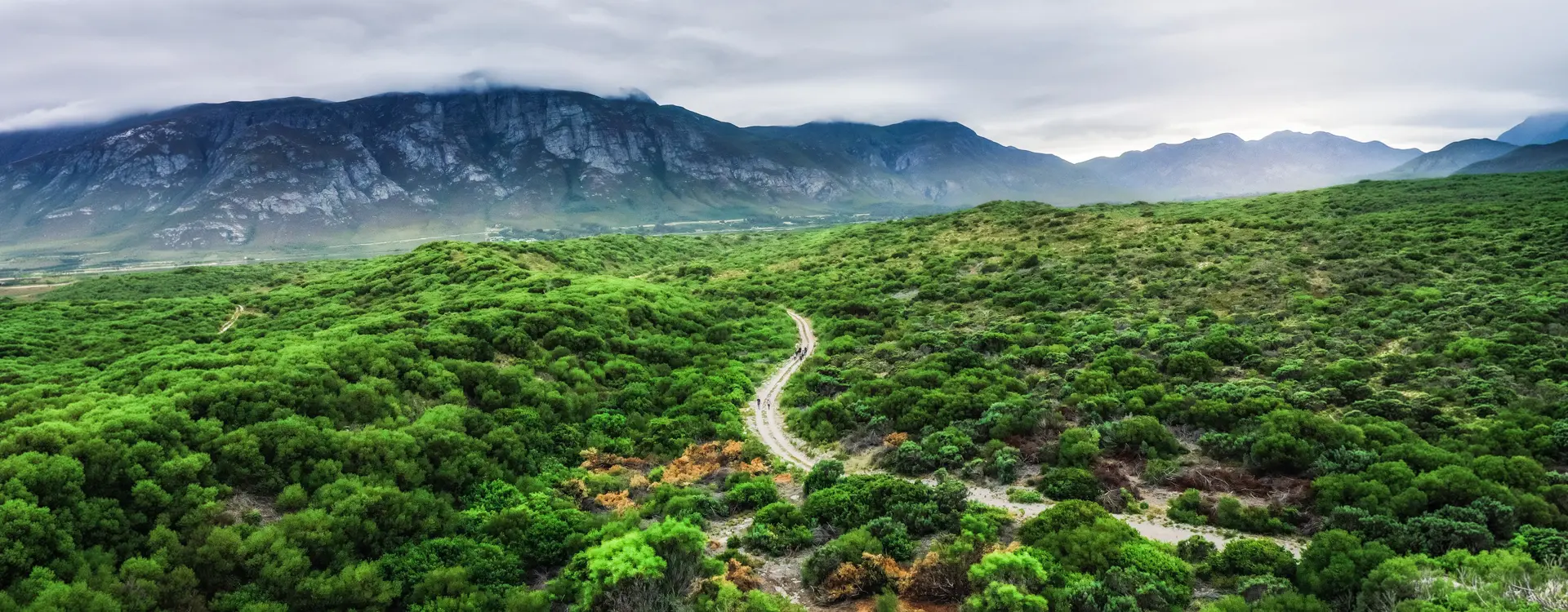 DMC SA-Group & Special Interest The Hermanus Camino