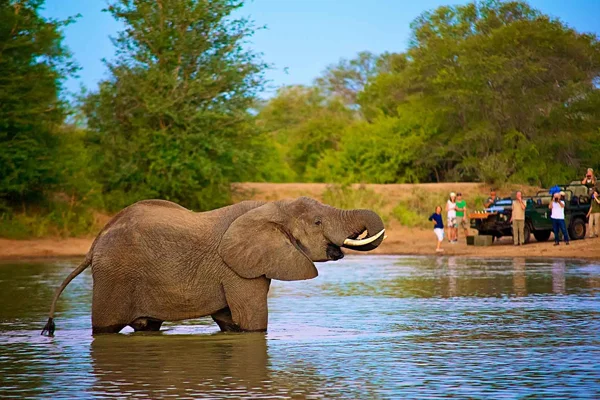 DMC SA-Home Services Safari Tours3