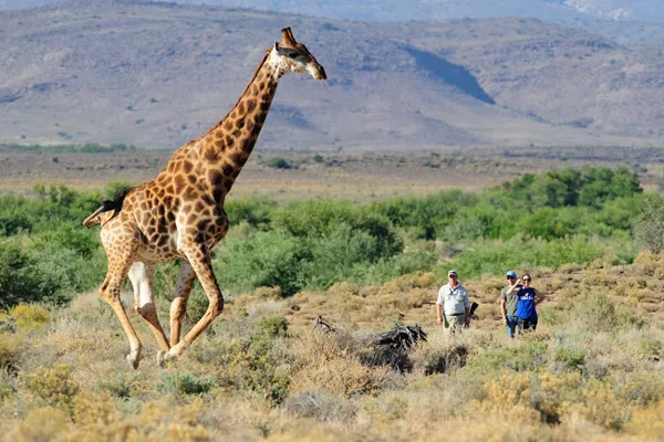 DMC SA-Home Services Safari Tours7